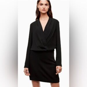 Aritzia Purple Dress